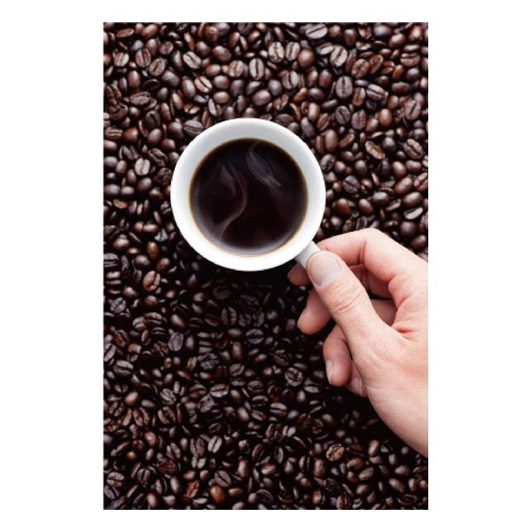 Perfect Touch II Electric Coffee Grinder CG-5B - imy Shop Japan