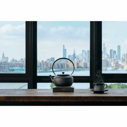 MoonKettle Electric Kettle KPT02JP - imy Shop Japan