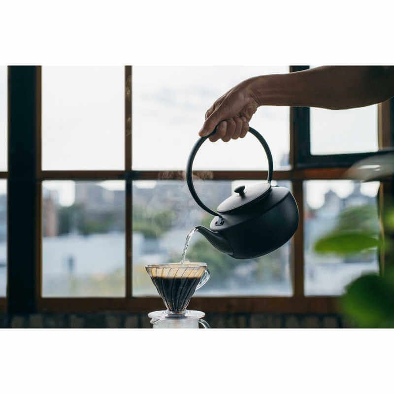 MoonKettle Electric Kettle KPT02JP - imy Shop Japan