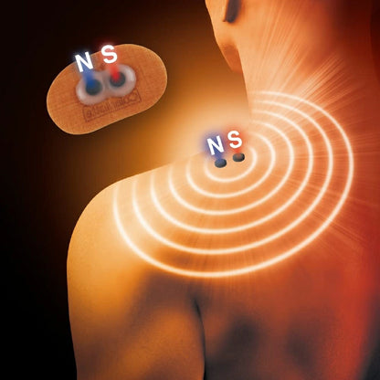 NS Magneban 80×2 ABFZC14F - imy Shop Japan