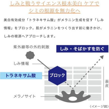 TRANSINO UV Protector SPF50+ Brightening Sunscreen