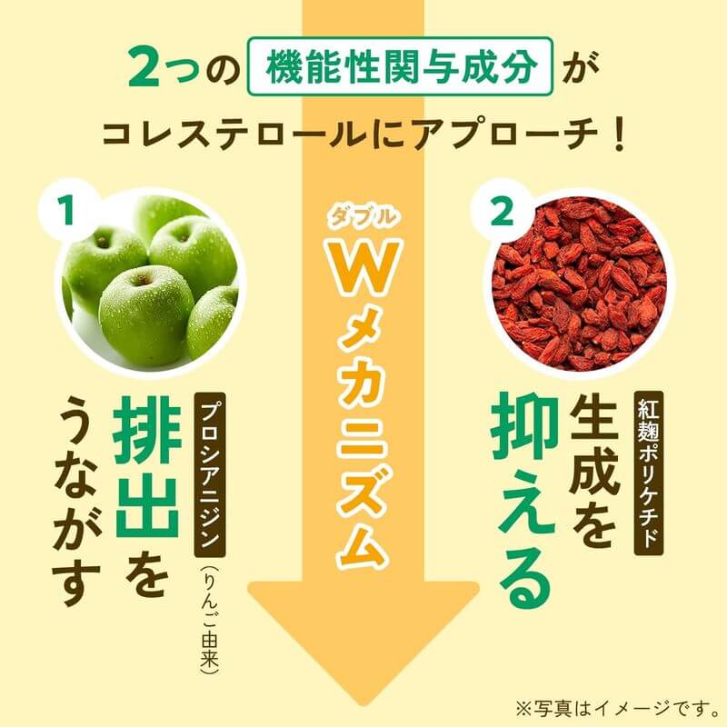 膽固醇支援 30日份