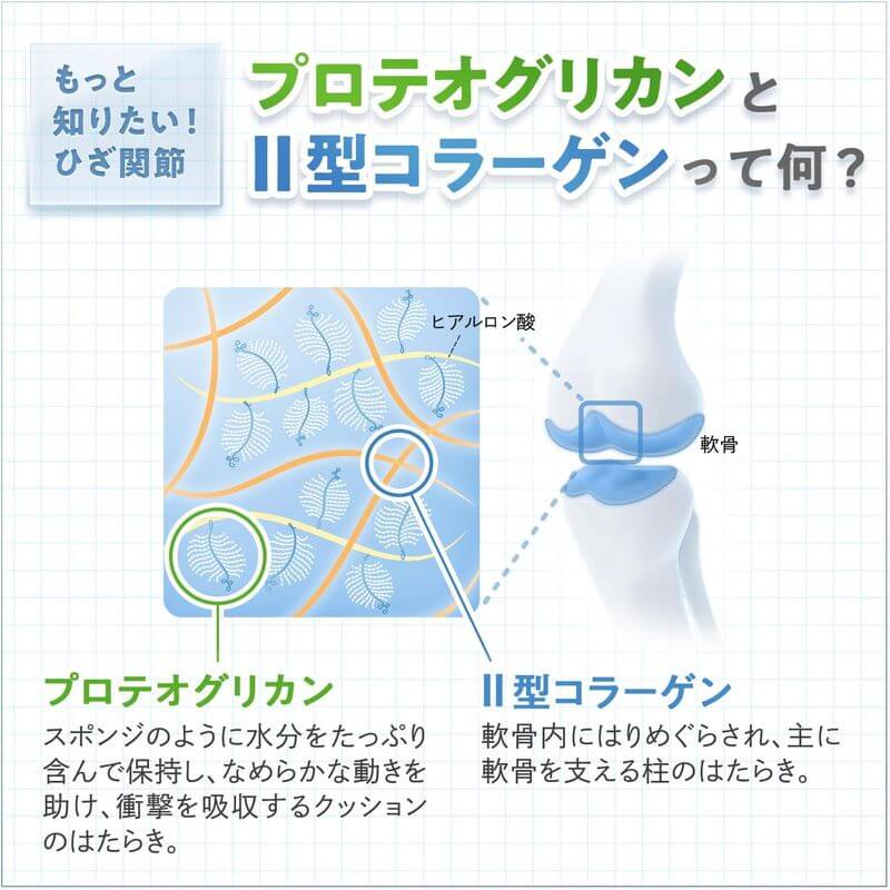 輕鬆膝蓋 30日份