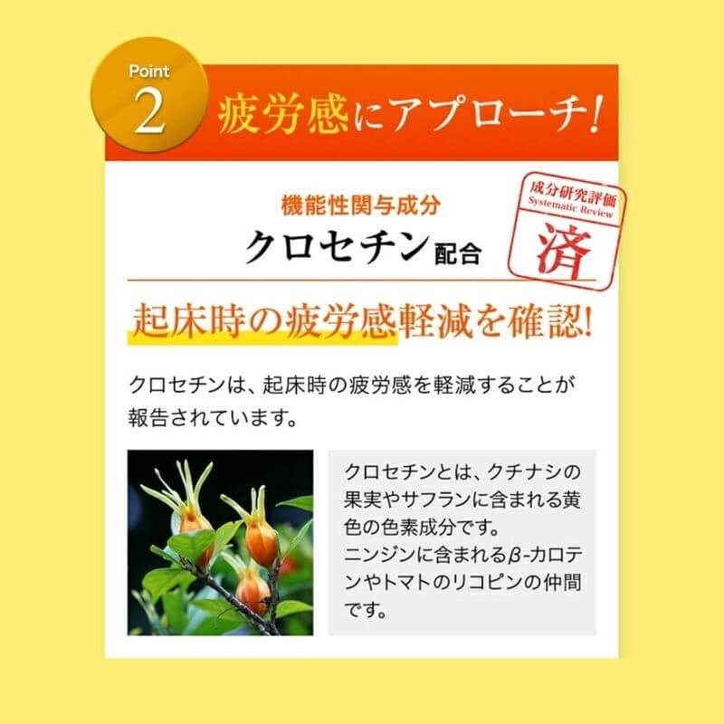 好眠支援  (約10日分) 4g×10包