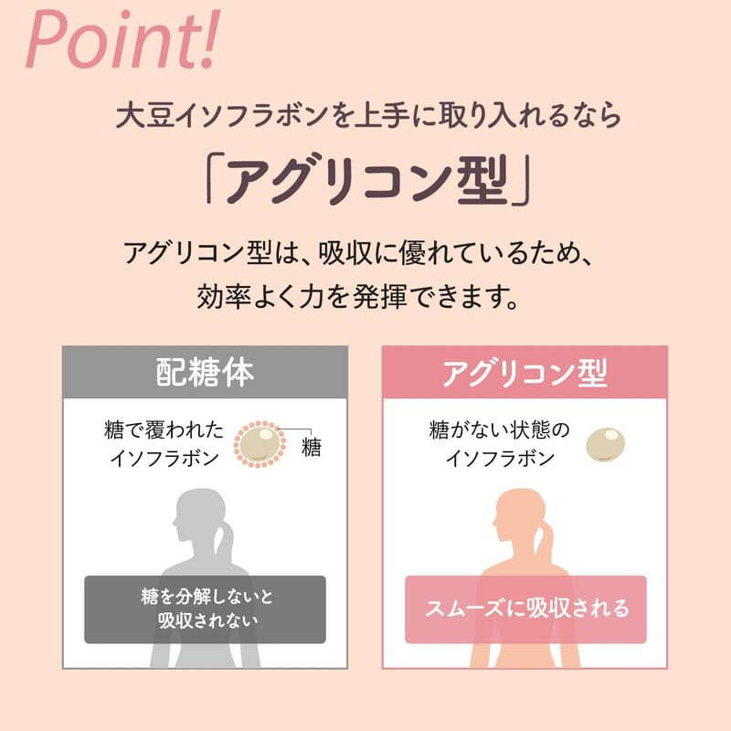 濃縮大豆異黃酮 乳酸菌PLUS