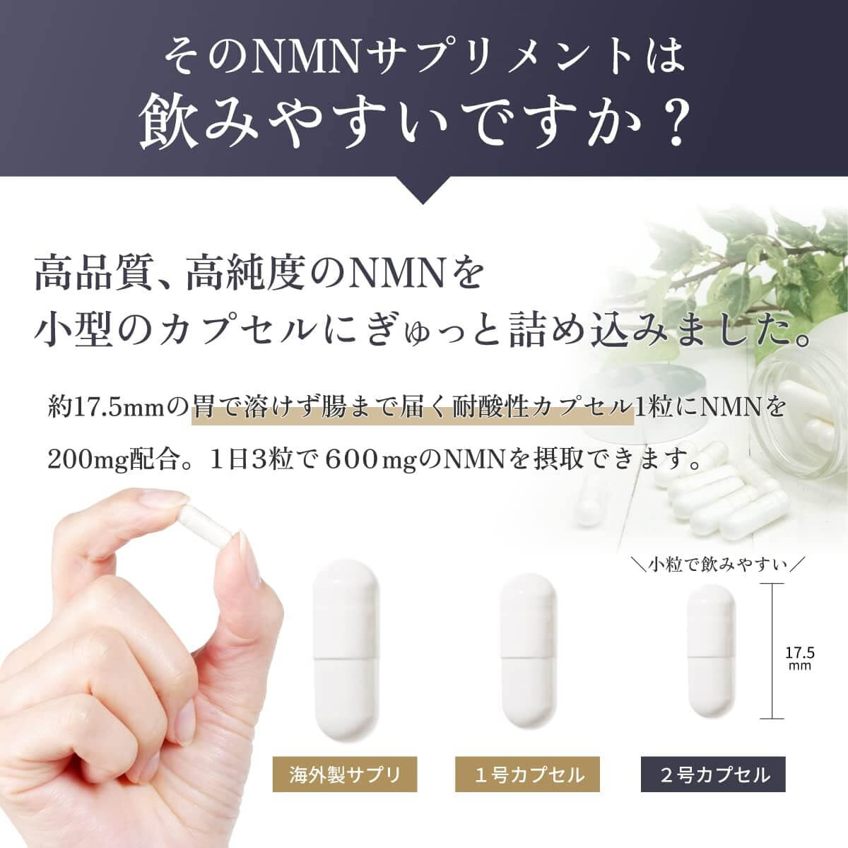 NMN Supplement 18000mg 90 tablets - imy Shop Japan