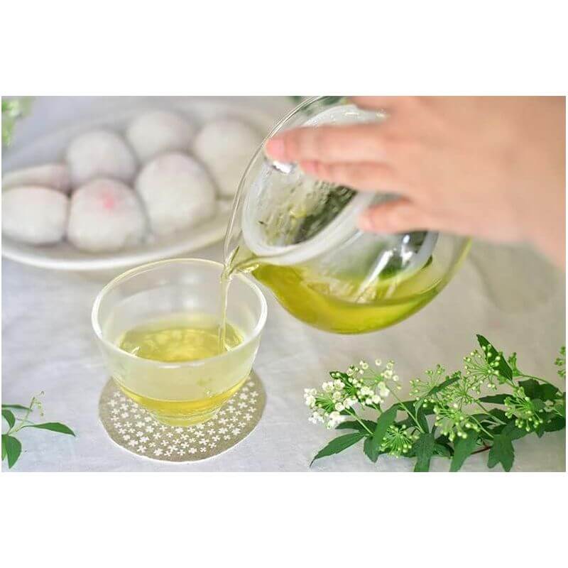 ChaCha Kyusu AYAORI Teapot, 450ml CHJMN-45-AY-NW