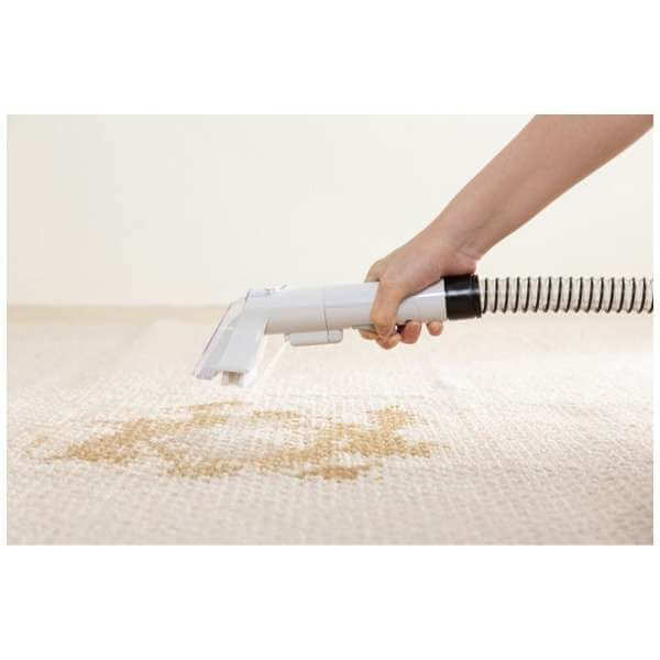 Carpet & Upholstery Cleaning Machine RNS-P10-W - imy Shop Japan