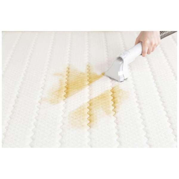 Carpet & Upholstery Cleaning Machine RNS-P10-W - imy Shop Japan