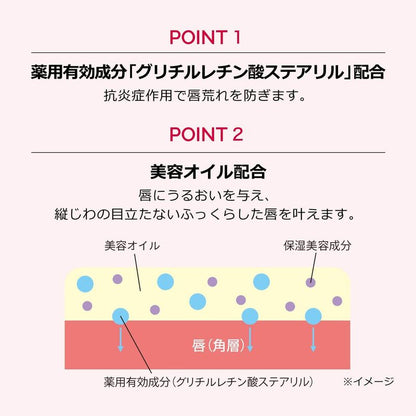 DRAMATIC ESSENCE LIPCARE Lip Balm