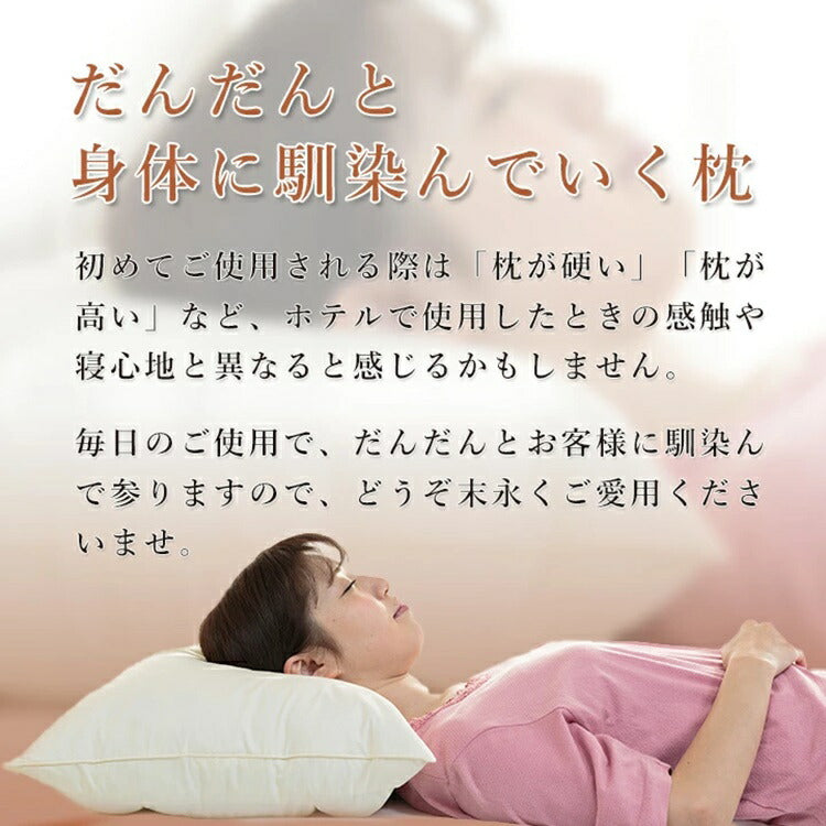 Blissful Sleep Series Pipe Feather Pillow [Large] 630714BO - imy Shop Japan