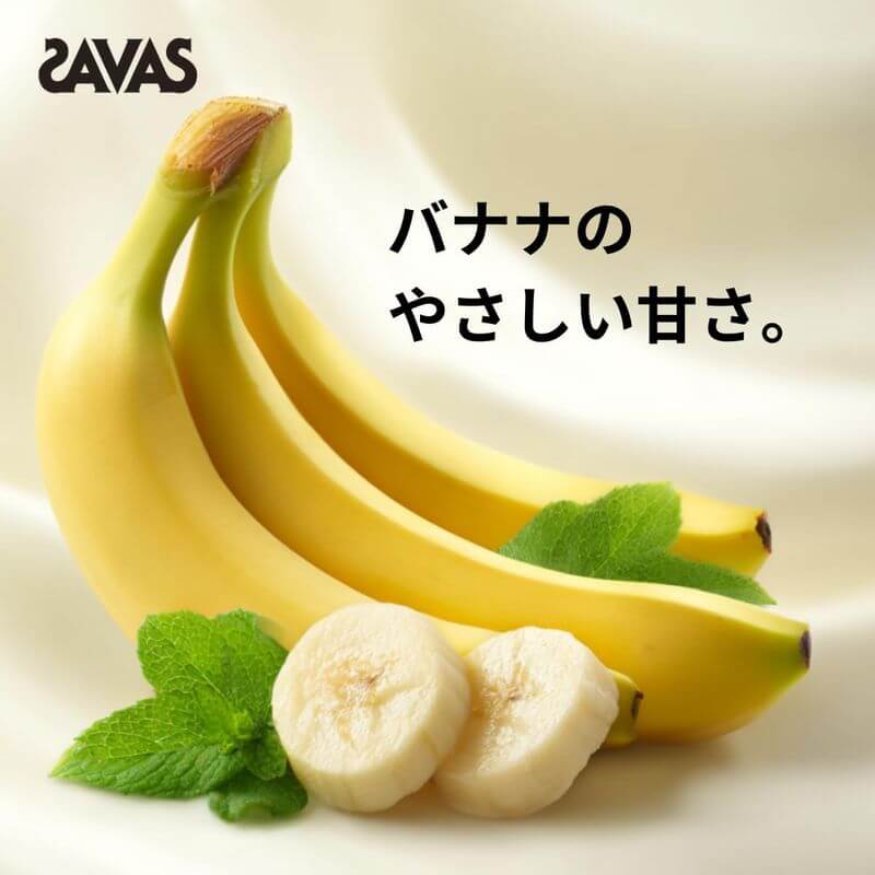 SAVAS 大豆蛋白飲100 900g 日本製 SOY-PROTEIN-100