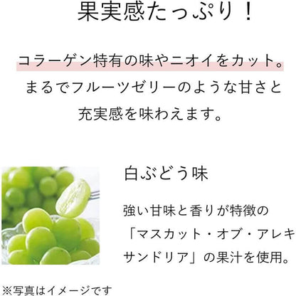 Collagen Stick Jelly, 20g*14 sticks