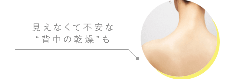 Defencera 1.5g x 30 sachets - imy Shop Japan