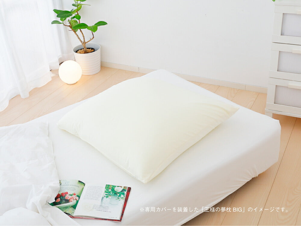Pillow Case for King's Dream Pillow BIG 70x70 cm - imy Shop Japan