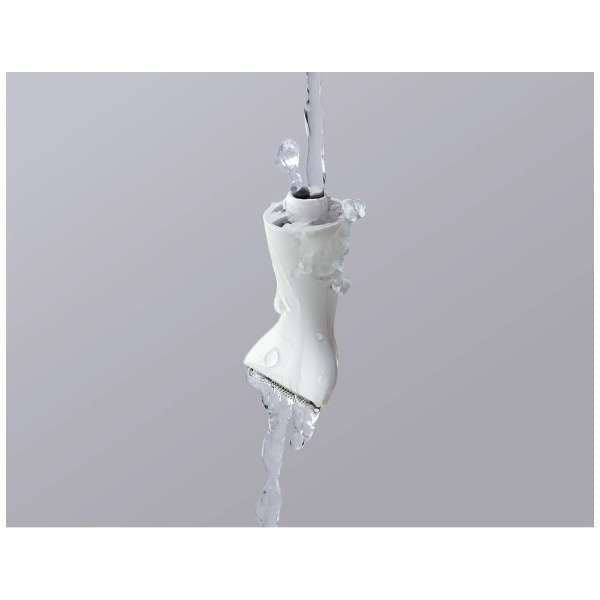 Battery-Powered Ferrier VIO Dedicated Shaver ES-WV62-H - imy Shop Japan