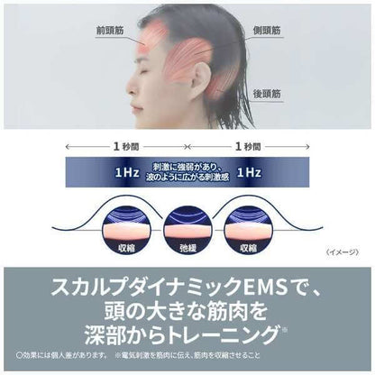 EMS Lift-Care Beauty Device VITALIFT BRUSH EH-SP60-H - imy Shop Japan