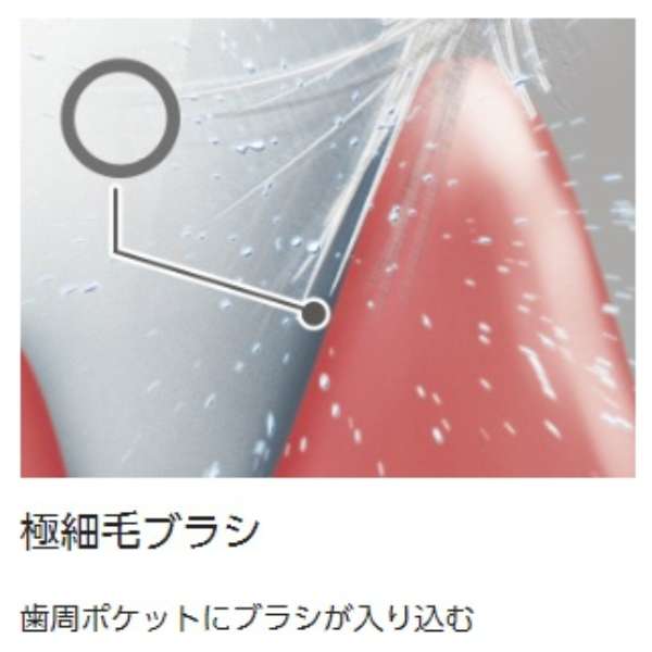 Electric Toothbrush pocket Doltz (Doltz Portable) EW-DS42 - imy Shop Japan