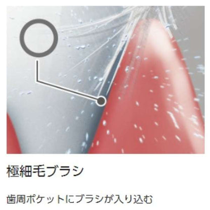 Electric Toothbrush pocket Doltz (Doltz Portable) EW-DS42 - imy Shop Japan