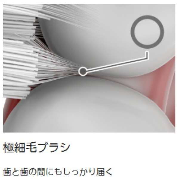 Electric Toothbrush pocket Doltz (Doltz Portable) EW-DS42 - imy Shop Japan