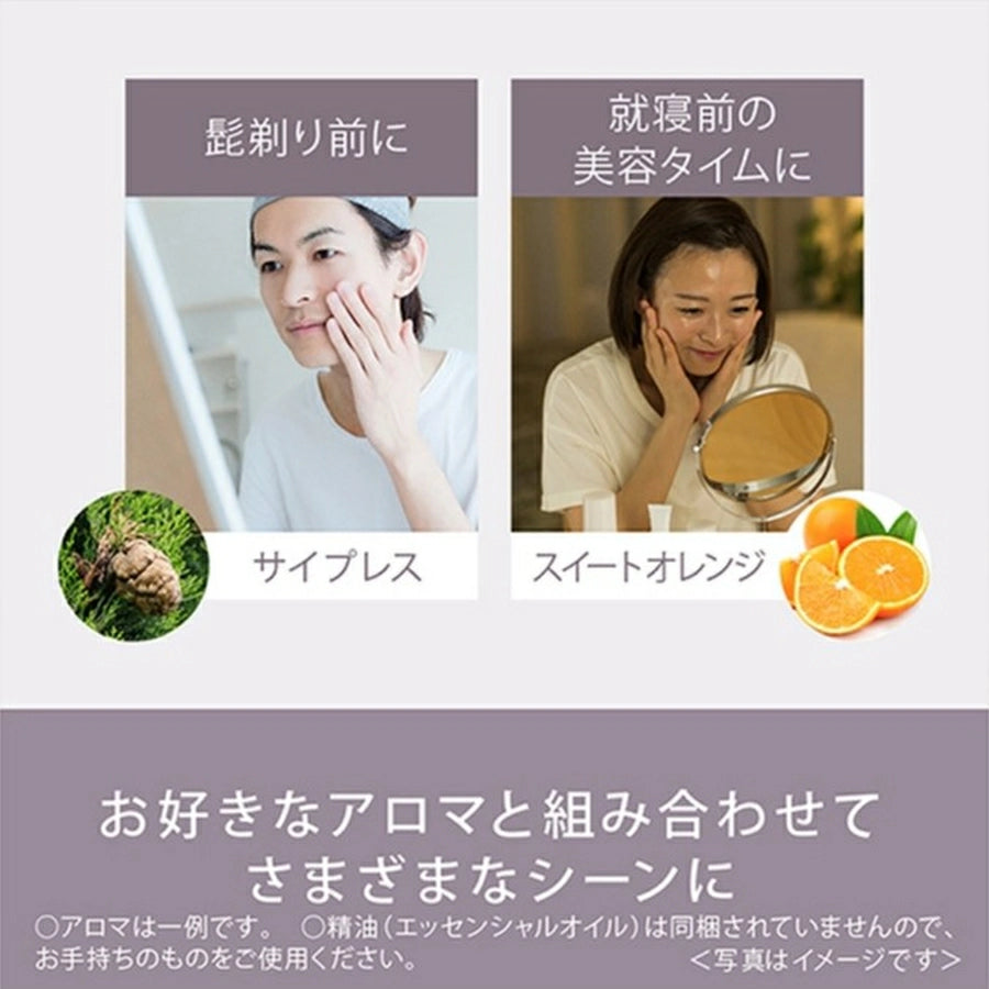Nano Ionic Facial Steamer / Aroma Stone Type EH-SA70-H - imy Shop Japan
