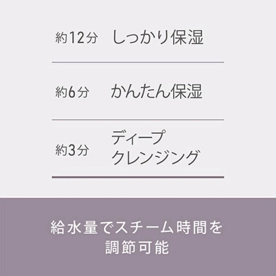 Nano Ionic Facial Steamer / Aroma Stone Type EH-SA70-H - imy Shop Japan