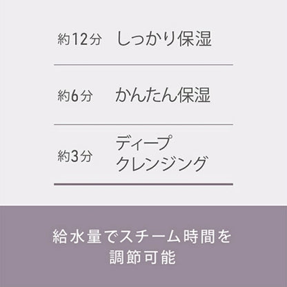 Nano Ionic Facial Steamer / Aroma Stone Type EH-SA70-H - imy Shop Japan