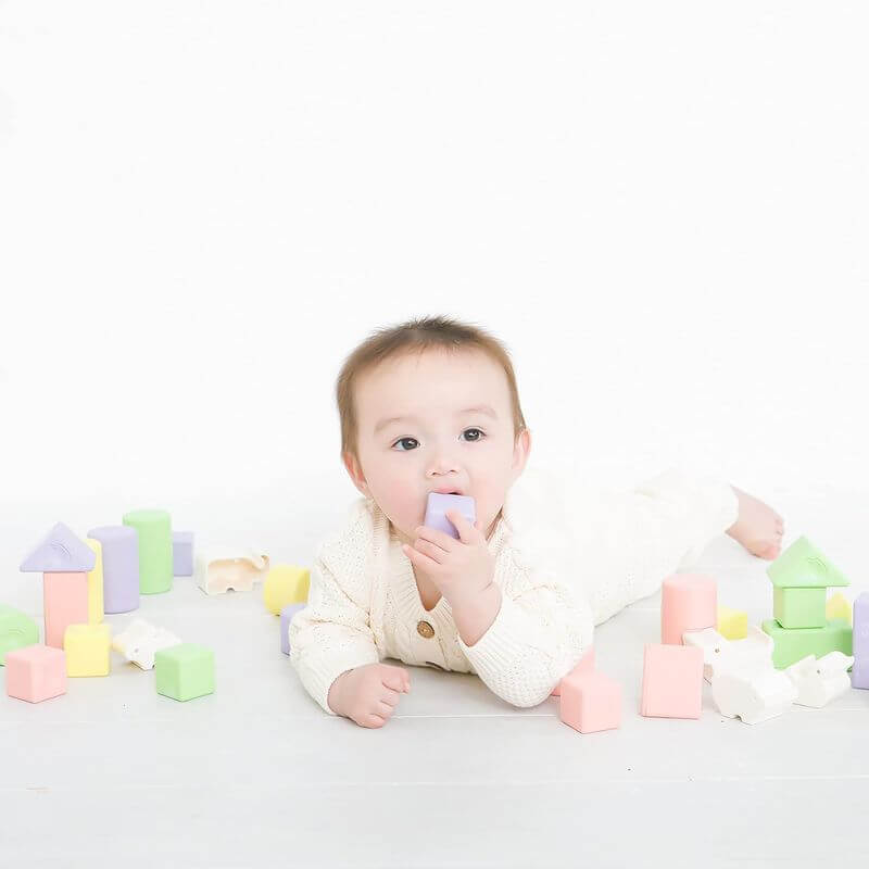 Rice-Based Animal Stacking Blocks (29-piece), Made in Japan KM-029