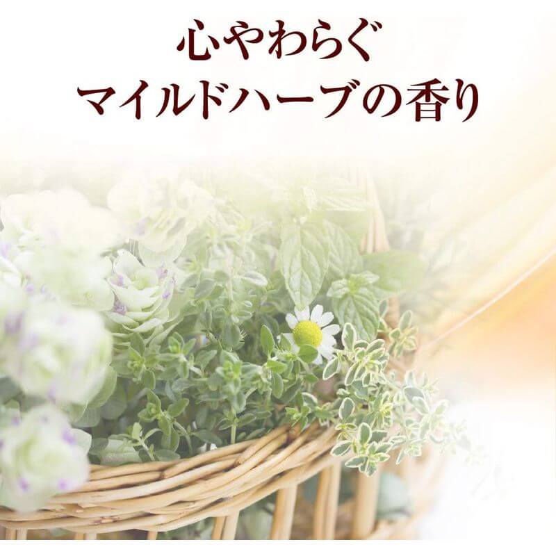 50 Megumi Hair & Scalp Moisturizing Shampoo 400ml