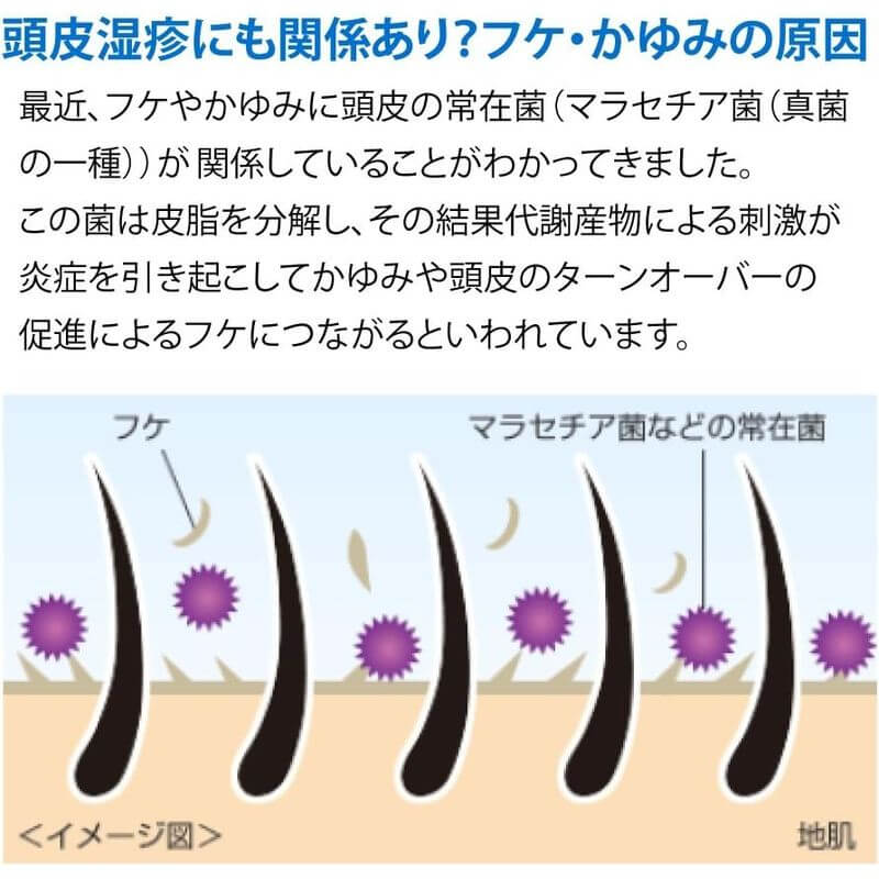 Mediquick H 清爽型SPA 頭皮洗髮精