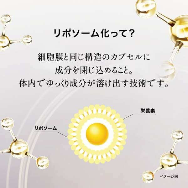 THE LYPO 脂質體VC膠囊 60顆, 低分子, 保濕玻尿酸