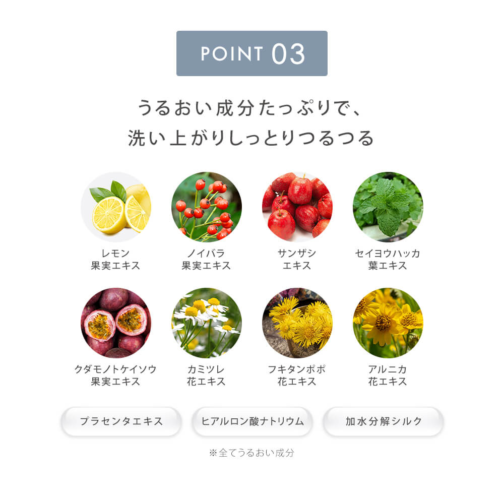 Daily Deep-Clean Ion Facial Brush with Sonic Vibration SAL21202SL - imy Shop Japan