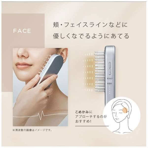 EMS Lift-Care Beauty Device SAL22206SL - imy Shop Japan