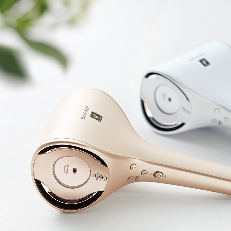 Plasma Cluster Hair Dryer IB-WX3 - imy Shop Japan