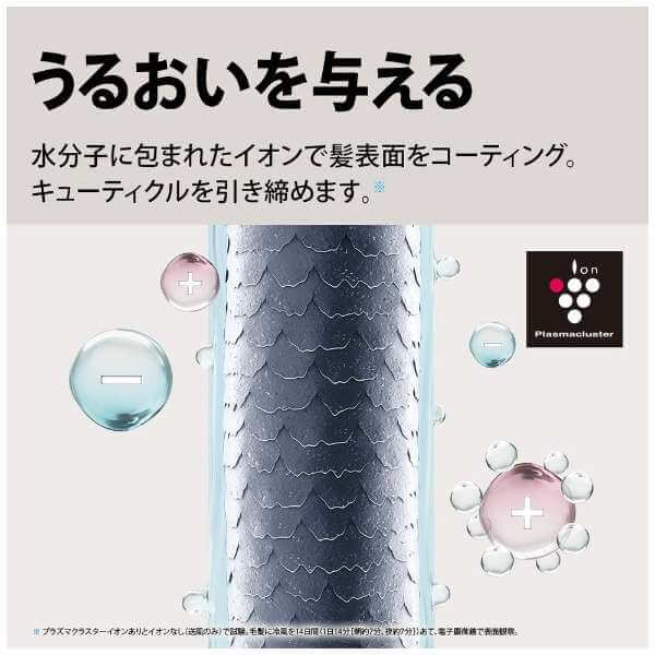 Plasmacluster Beauty Hair Dryer IB-P801 - imy Shop Japan