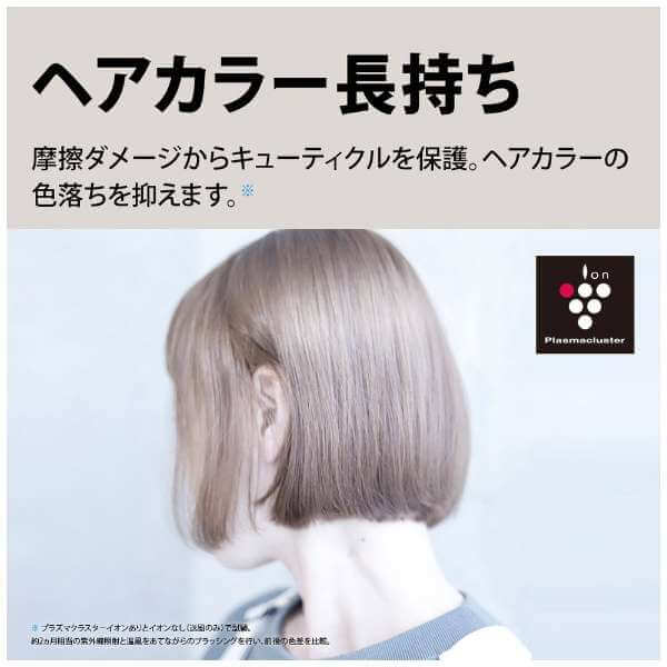 Plasmacluster Beauty Hair Dryer IB-P801 - imy Shop Japan