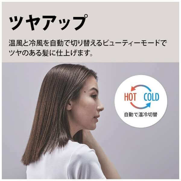 Plasmacluster Beauty Hair Dryer IB-P801 - imy Shop Japan