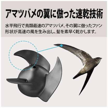 Plasmacluster Beauty Hair Dryer IB-P801 - imy Shop Japan