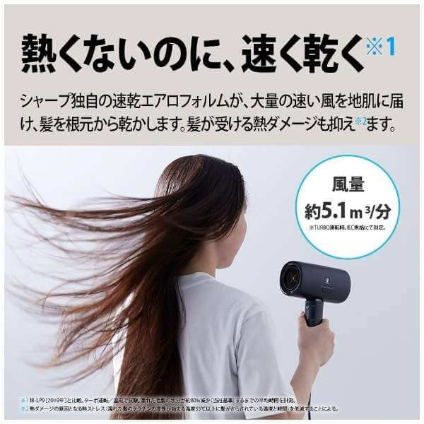 Plasmacluster Beauty Hair Dryer IB-P801 - imy Shop Japan