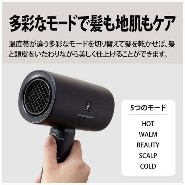 Plasmacluster Beauty Hair Dryer IB-P801 - imy Shop Japan