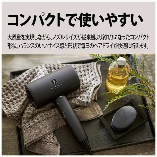 Plasmacluster Beauty Hair Dryer IB-P801 - imy Shop Japan