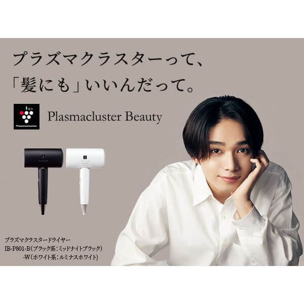 Plasmacluster Beauty Hair Dryer IB-P801 - imy Shop Japan