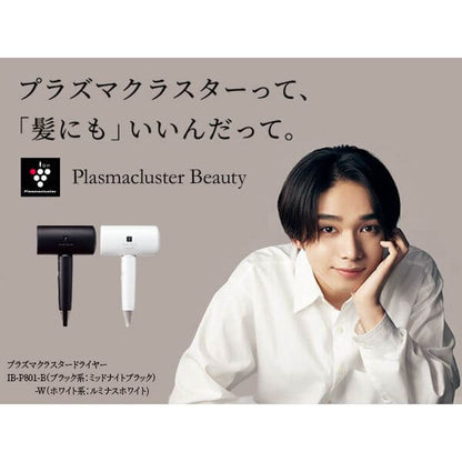 Plasmacluster Beauty Hair Dryer IB-P801 - imy Shop Japan