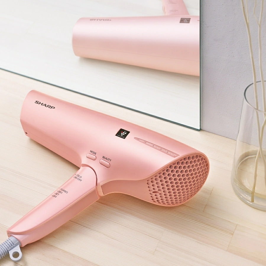 Plasmacluster Hair Dryer IB-RP9 - imy Shop Japan