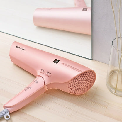 Plasmacluster Hair Dryer IB-RP9 - imy Shop Japan