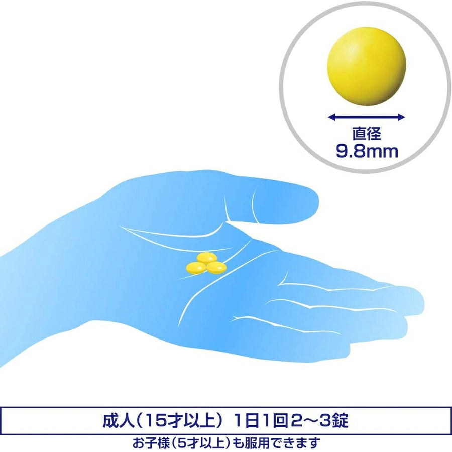 SS Pharmaceutical S Fight Gold DX 270 Tablets - imy Shop Japan