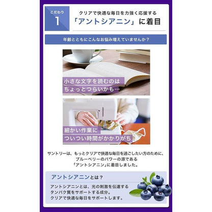 Blueberry, 90 tablets / 30 days