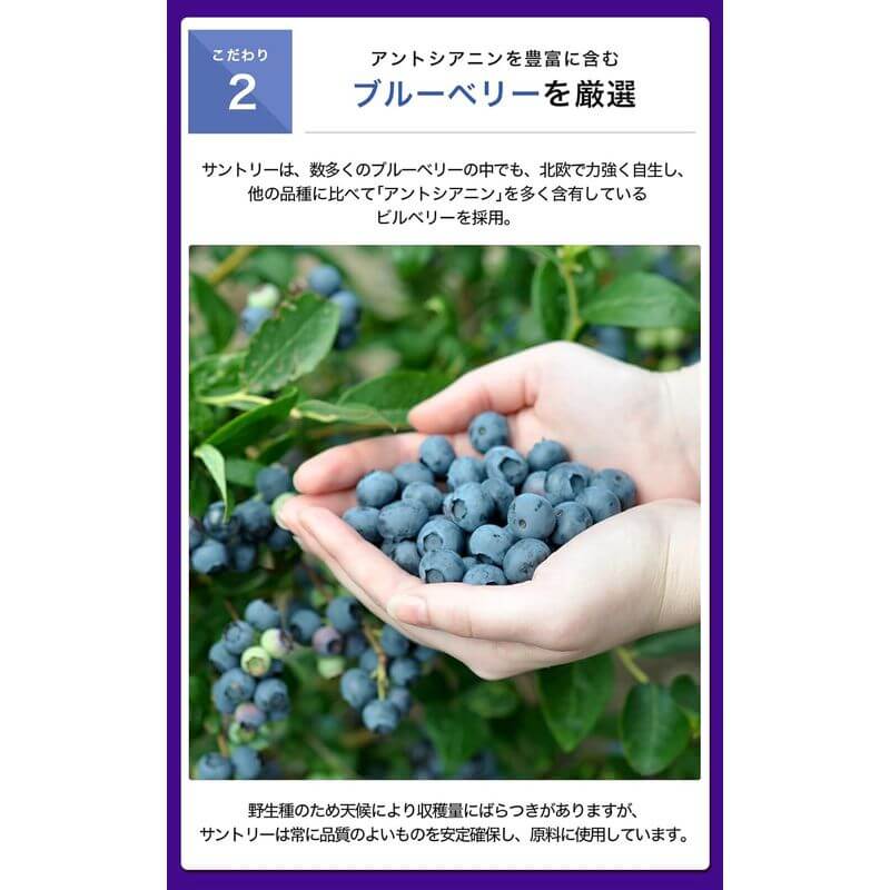 Blueberry, 90 tablets / 30 days