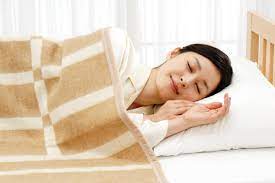Electric Blanket With Timer SB-KG - imy Shop Japan