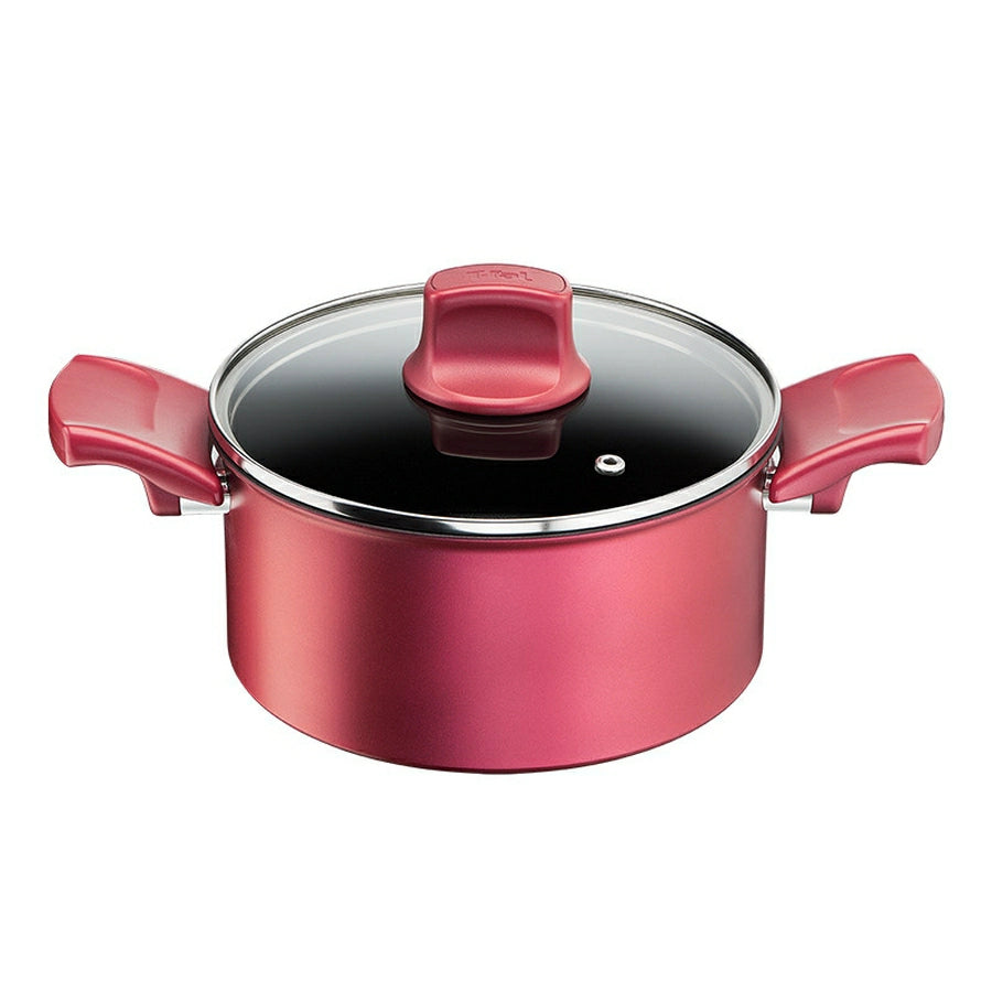 UNLIMITED 2X Rouge Stew Pot 20cm G26244 - imy Shop Japan